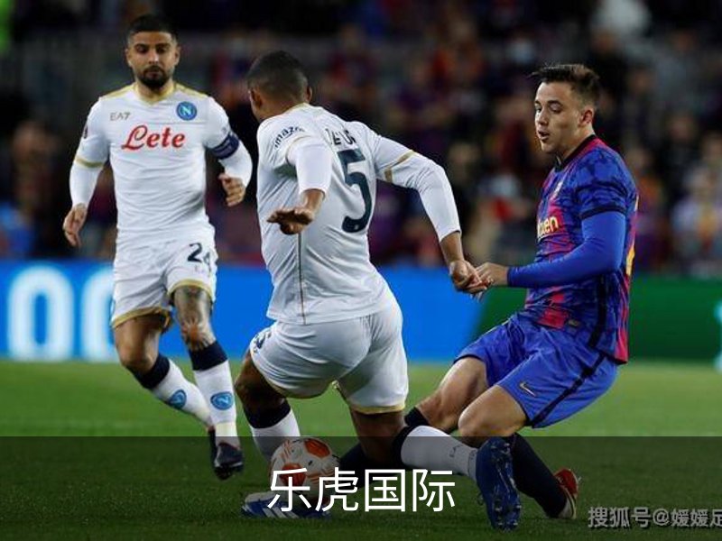 乐虎国际介绍
